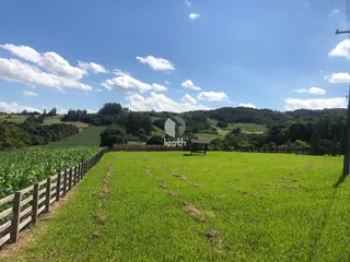 Área rural com 2 dormitórios, foto 3