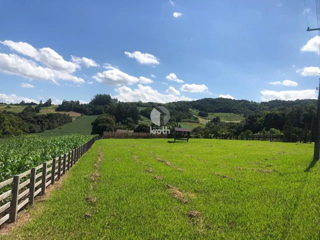 Área rural com 2 dormitórios, foto 3