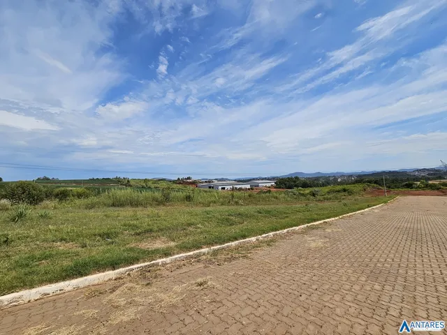Terreno, foto 5