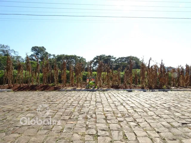 Vista externa de um terreno com pátio pavimentado e vegetação seca ao fundo.