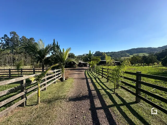 Área rural com 2 dormitórios, foto 4