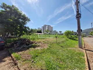 Terreno, foto 3