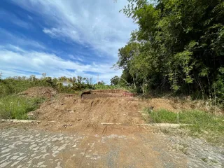 Vista externa de um terreno com vegetação densa e solo irregular.