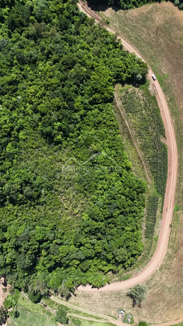 Vista aérea de uma área de mata e campos agrícolas com uma estrada de terra.