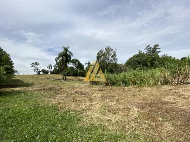 Terreno com 4 dormitórios, foto 5
