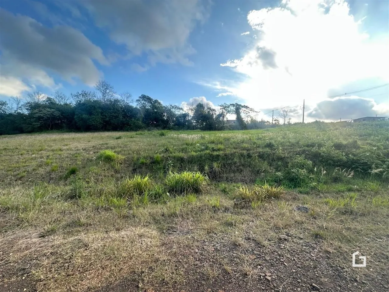 Campo gramado com vegetação densa ao fundo sob um céu claro.