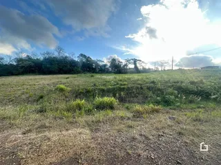 Campo gramado com vegetação densa ao fundo sob um céu claro.
