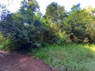 Área rural com 1 dormitório, foto 8