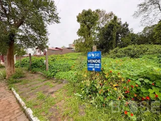 Terreno, foto 3