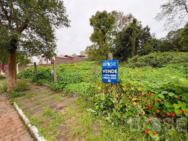 Terreno, foto 3