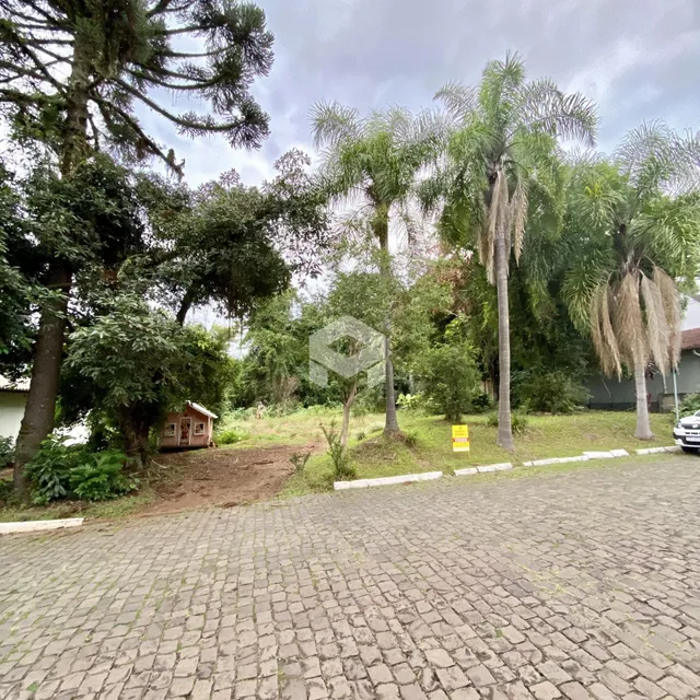 Terreno, foto 3