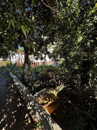 Terreno, foto 3