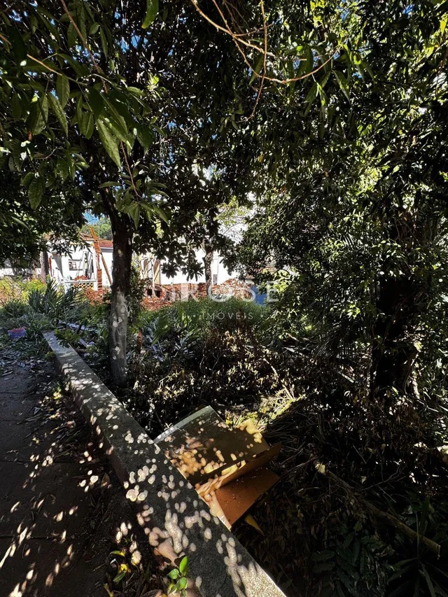 Terreno, foto 3