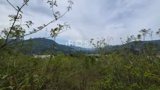 Vista da vegetação densa com montanhas ao fundo.