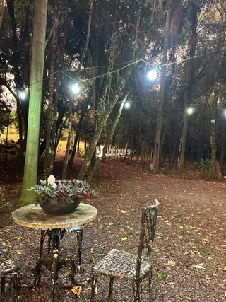 Uma cena de jardim com árvores e mobiliário rústico no exterior.