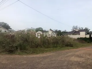 Terreno, foto 3