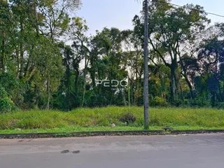 Vista da propriedade com vegetação densa ao fundo.