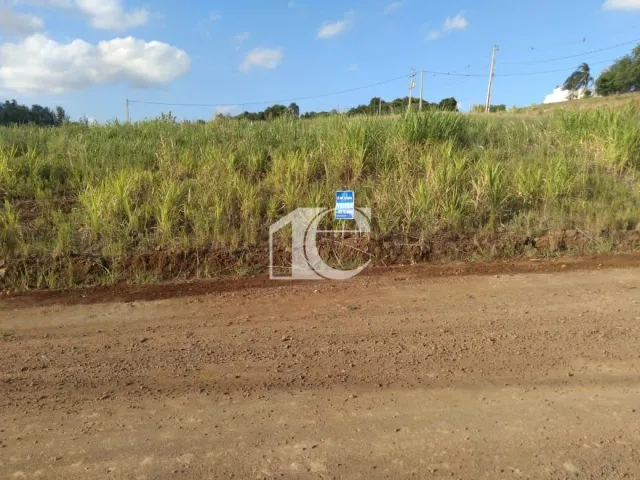 Terreno, foto 3
