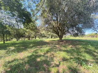 Área rural com 2 dormitórios, foto 21