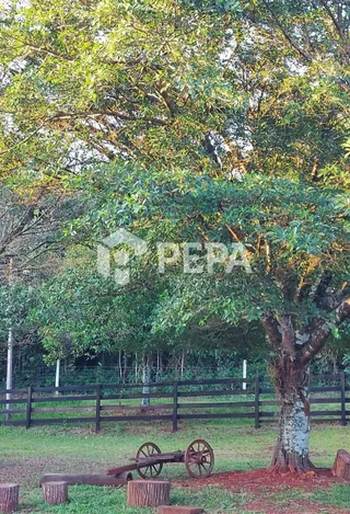 Área rural com 3 dormitórios, foto 21