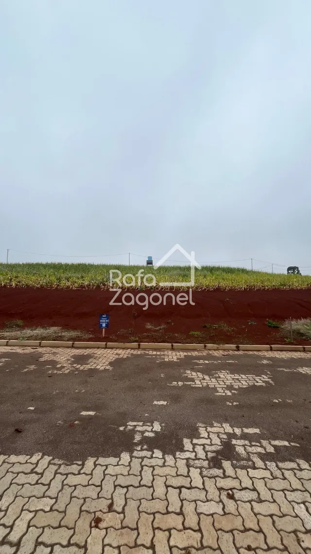 Terreno, foto 2
