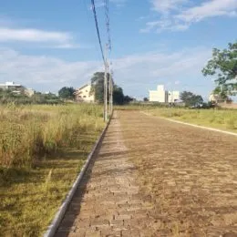 Vista de um caminho de terra em uma área gramada ao ar livre.