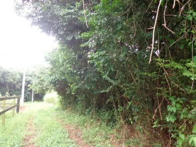 Terreno