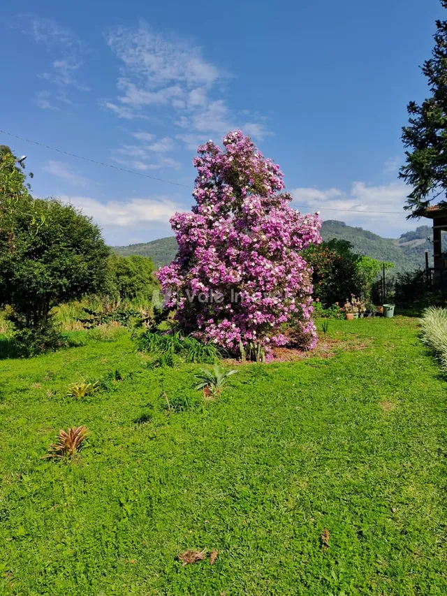 Área rural