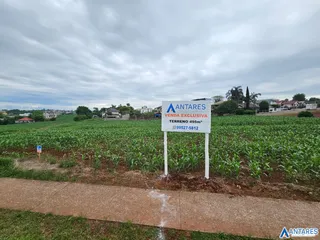 Terreno, foto 2