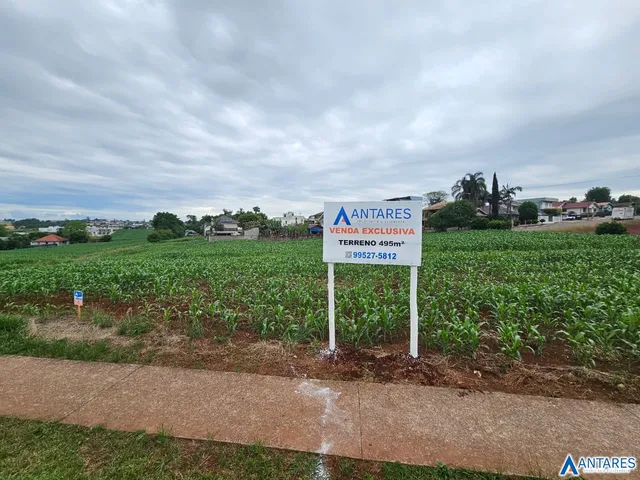 Terreno, foto 2