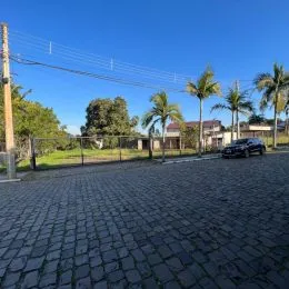 Vista da rua com pavimentação e árvores em Lajeado.