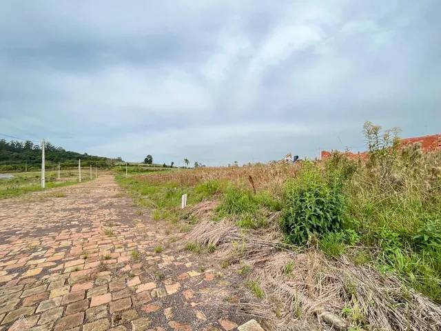 Terreno, foto 3