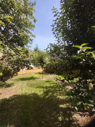Casa com 3 dormitórios, foto 5