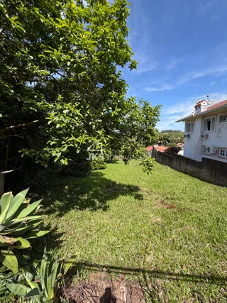 Terreno, foto 6