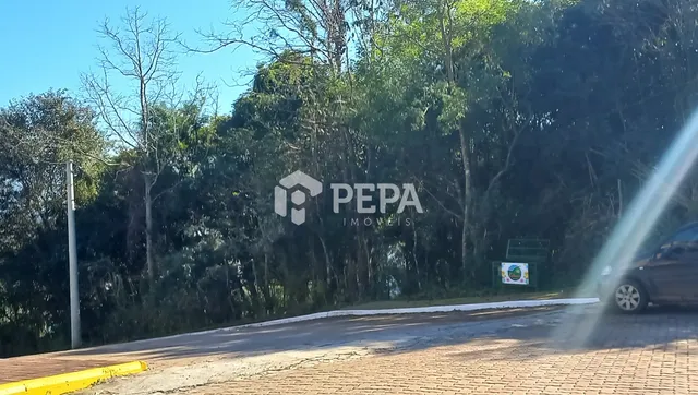Terreno, foto 4