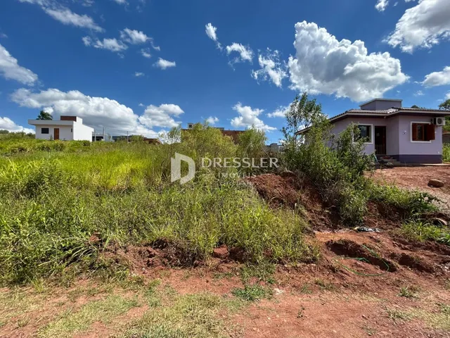 Paisagem de terreno com vegetação densa em frente a residências.