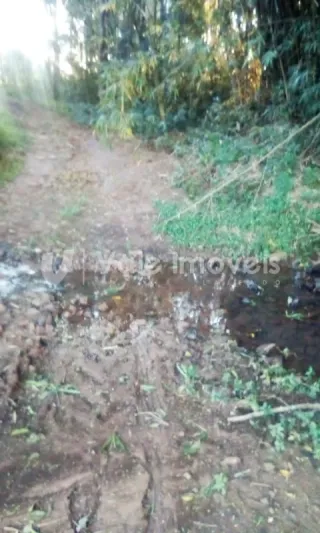 Área rural, foto 26