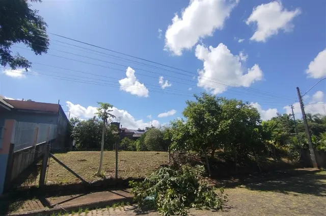 Terreno, foto 2