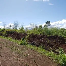Terreno, foto 3