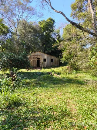 Área rural com 3 dormitórios, foto 18