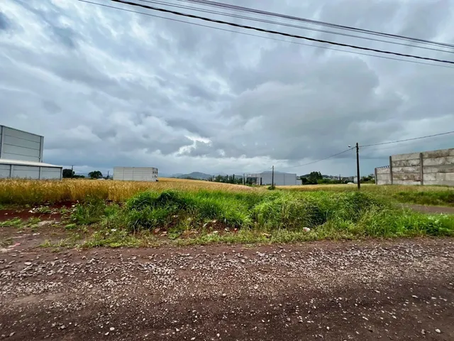 Terreno