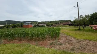 Área rural com 3 dormitórios, foto 7