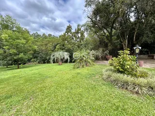 Vista de um gramado verde com árvores ao fundo.