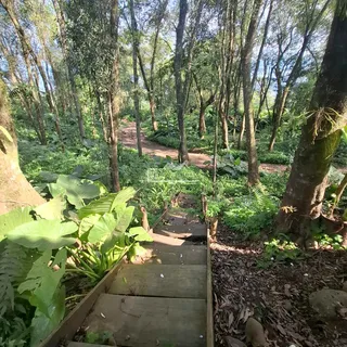 Área rural com 2 dormitórios, foto 8