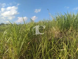 Terreno, foto 8