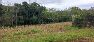 Área rural, foto 2