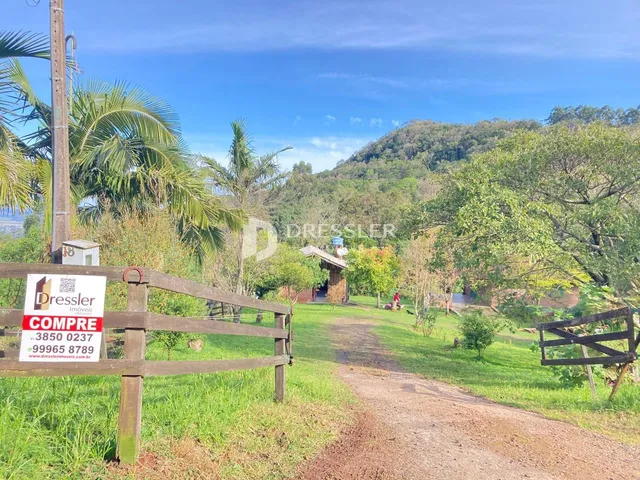 Paisagem rural com estrada de terra e vegetação exuberante ao fundo.
