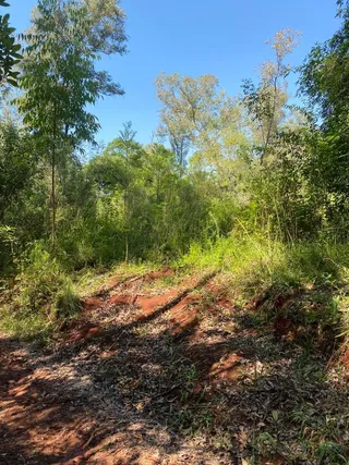 Área rural, foto 4