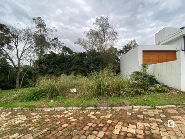 Terreno, foto 3