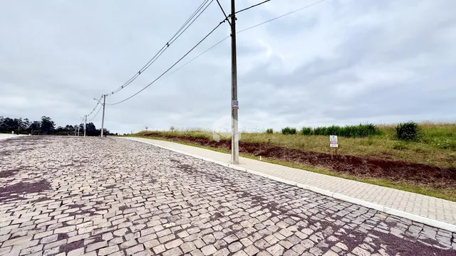 Vista da rua pavimentada ao lado de uma faixa de terra.